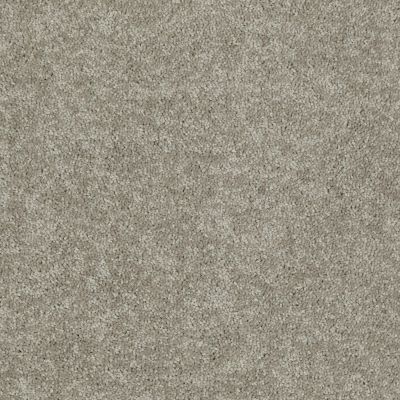 Shaw Floors Dyersburg Classic 15′ Taupe Mist 55792_E0948