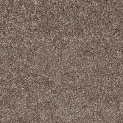 Shaw Floors Newbern Classic 12′ Suede 00731_E0949