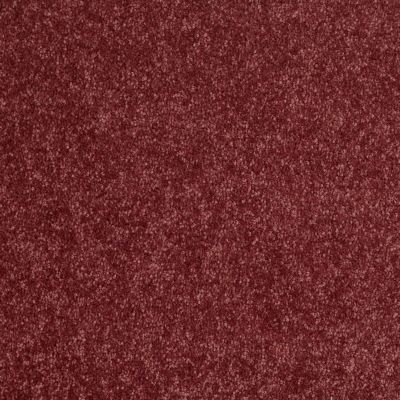 Shaw Floors Newbern Classic 12′ Radiant Orchid 00931_E0949