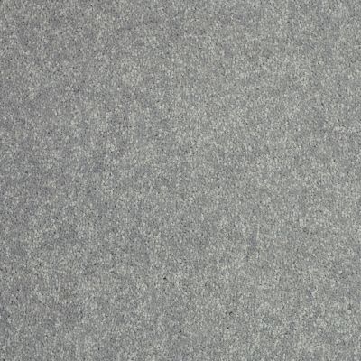 Shaw Floors Newbern Classic 12′ Castle Grey 55501_E0949