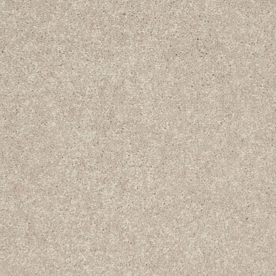 Shaw Floors Newbern Classic 12′ Dove 55700_E0949