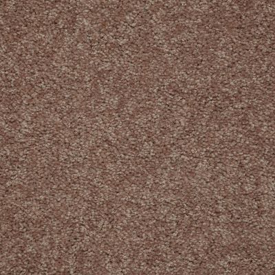 Shaw Floors Newbern Classic 12′ Candied Truffle 55750_E0949