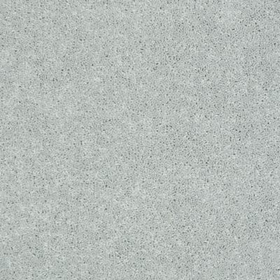 Shaw Floors Newbern Classic 15′ Morning Fog 00530_E0950