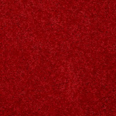 Shaw Floors Briceville Classic 12 Real Red 55852_E0951
