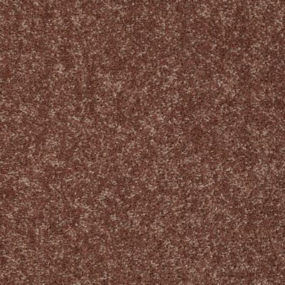 Shaw Floors Briceville Classic 15 Winter Wheat 55791_E0952