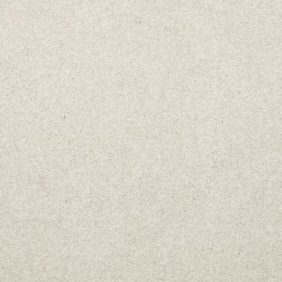 Shaw Floors Value Collections Dyersburg  Net Taupe 55105_E0984