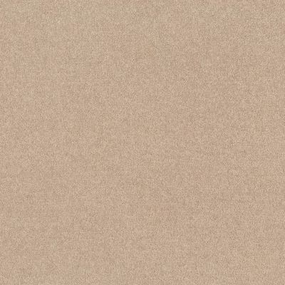 Shaw Floors Value Collections Dyersburg  Net Marble 55150_E0984
