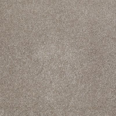Shaw Floors Anso Open II (s) Mocha Cream 00105_E0989