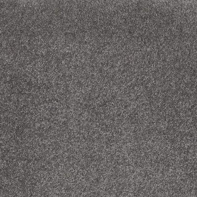 Shaw Floors Anso Open II (s) Marble Gray 00503_E0989