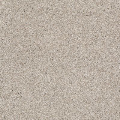 Shaw Floors Anso Open II (t) Cork Board 00711_E0990