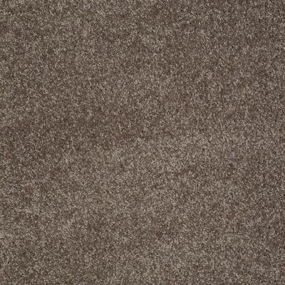 Shaw Floors Anso Open III (s) Rustic Taupe 00706_E0992