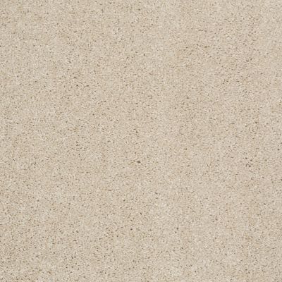 Shaw Floors Value Collections Xvn04 Sandy Shore 00101_E1234