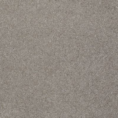 Shaw Floors Value Collections Xvn05 (s) Radiance 00500_E1236