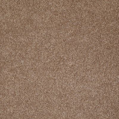 Shaw Floors Value Collections Xvn05 (s) Acorn 00700_E1236