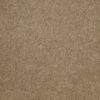 Shaw Floors Value Collections Xvn05 (s) Bridgewater Tan 00709_E1236