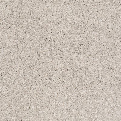Shaw Floors Value Collections Xvn05 (t) Scone 00113_E1237