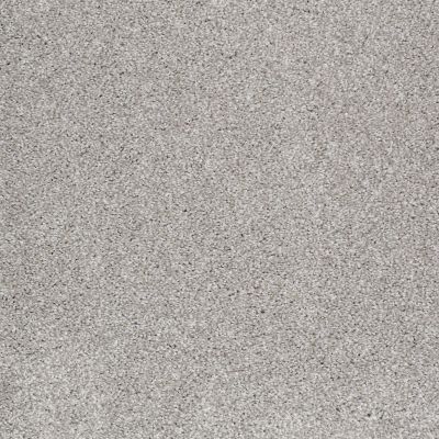 Shaw Floors Value Collections Xvn05 (t) Frosted Ice 00510_E1237