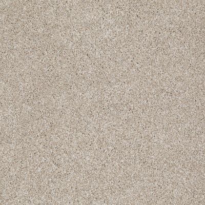 Shaw Floors Value Collections Xvn05 (t) Cork Board 00711_E1237