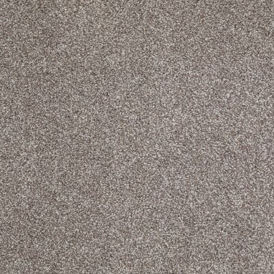 Shaw Floors Value Collections Xvn05 (t) Moccasin 00714_E1237