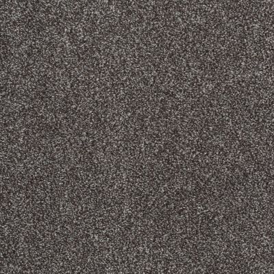 Shaw Floors Value Collections Xvn05 (t) Rich Earth 00715_E1237