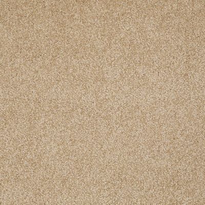 Shaw Floors Value Collections Xvn06 (s) Oakwood 00200_E1238