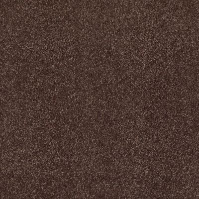 Shaw Floors Value Collections Xvn06 (s) Maple 00707_E1238