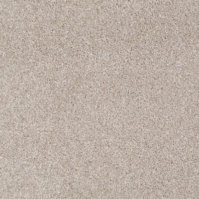Shaw Floors Value Collections Xvn06 (t) Doeskin 00112_E1239
