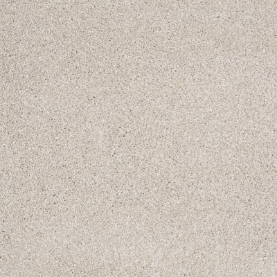 Shaw Floors Value Collections Xvn06 (t) Scone 00113_E1239