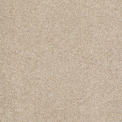 Shaw Floors Value Collections Xvn06 (t) Rich Butter 00210_E1239