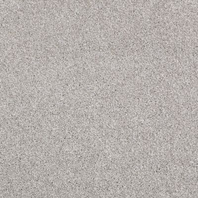 Shaw Floors Value Collections Xvn06 (t) Frosted Ice 00510_E1239