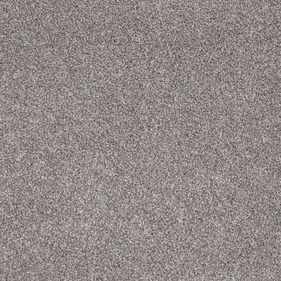 Shaw Floors Value Collections Xvn06 (t) Rice Pilaf 00713_E1239