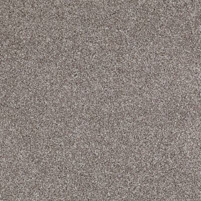 Shaw Floors Value Collections Xvn06 (t) Moccasin 00714_E1239
