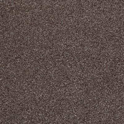 Shaw Floors Value Collections Xvn06 (t) Fudge Ripple 00717_E1239