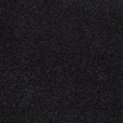 Shaw Floors Value Collections Xvn07 (s) Hidden Falls 00301_E1240