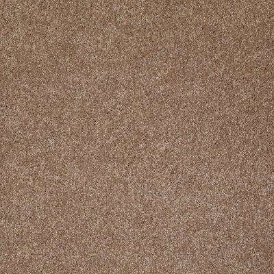 Shaw Floors Value Collections Xvn07 (s) Acorn 00700_E1240