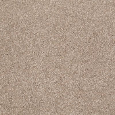 Shaw Floors Value Collections Xvn07 (s) Havana 00701_E1240