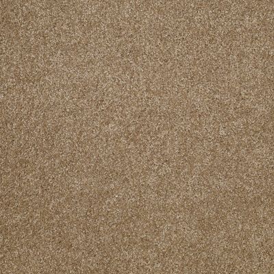 Shaw Floors Value Collections Xvn07 (s) Bridgewater Tan 00709_E1240