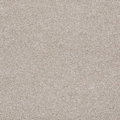 Shaw Floors Value Collections Xvn07 (t) Doeskin 00112_E1241