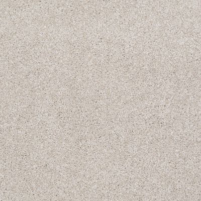 Shaw Floors Value Collections Xvn07 (t) Scone 00113_E1241