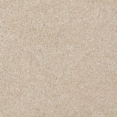 Shaw Floors Value Collections Xvn07 (t) Rich Butter 00210_E1241