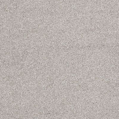 Shaw Floors Value Collections Xvn07 (t) Frosted Ice 00510_E1241