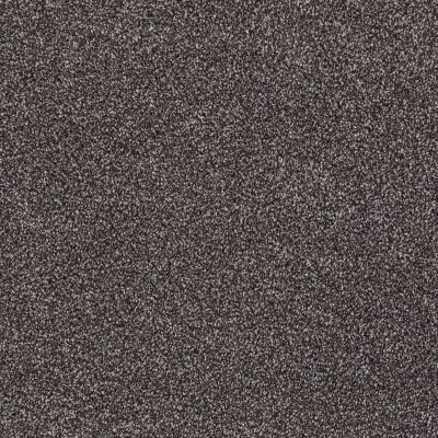 Shaw Floors Value Collections Xvn07 (t) Rich Earth 00715_E1241