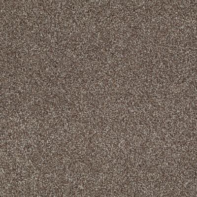 Shaw Floors Value Collections Xvn07 (t) Saddle 00718_E1241