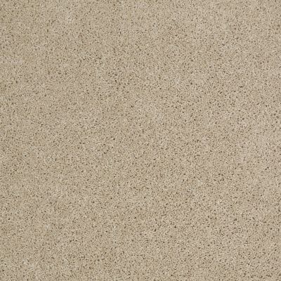 Shaw Floors Value Collections Origins Net Frost 00104_E9025