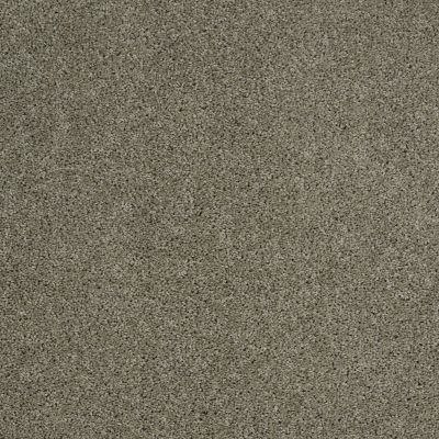 Shaw Floors Value Collections Origins Net Silver Sage 00310_E9025