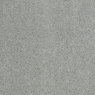Shaw Floors Value Collections Origins Net Drizzle 00414_E9025