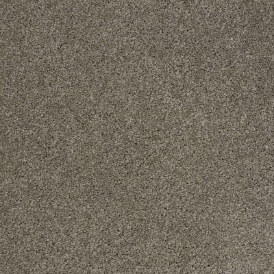 Shaw Floors Value Collections Origins Net Pewter 00513_E9025