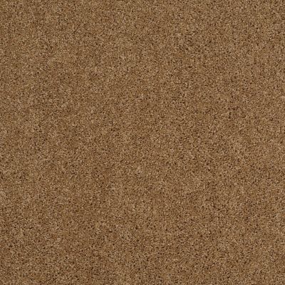Shaw Floors Value Collections Origins Net Leather Bound 00702_E9025