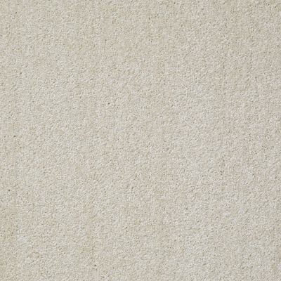 Shaw Floors Value Collections Jealousy Net Plaster 00103_E9121