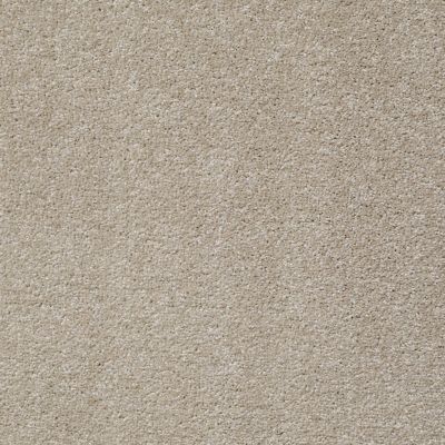 Shaw Floors Value Collections Jealousy Net Warm Glow 00106_E9121